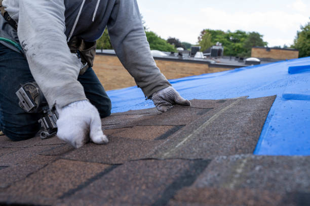 Best Storm Damage Roof Repair  in Oakleaf Plantation, FL